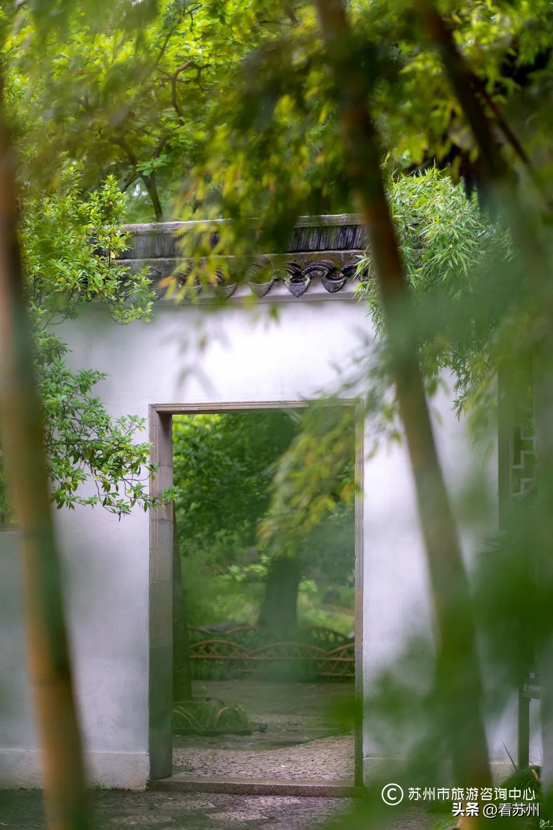 苏式园林庭院壁纸,苏州园林之夜壁纸