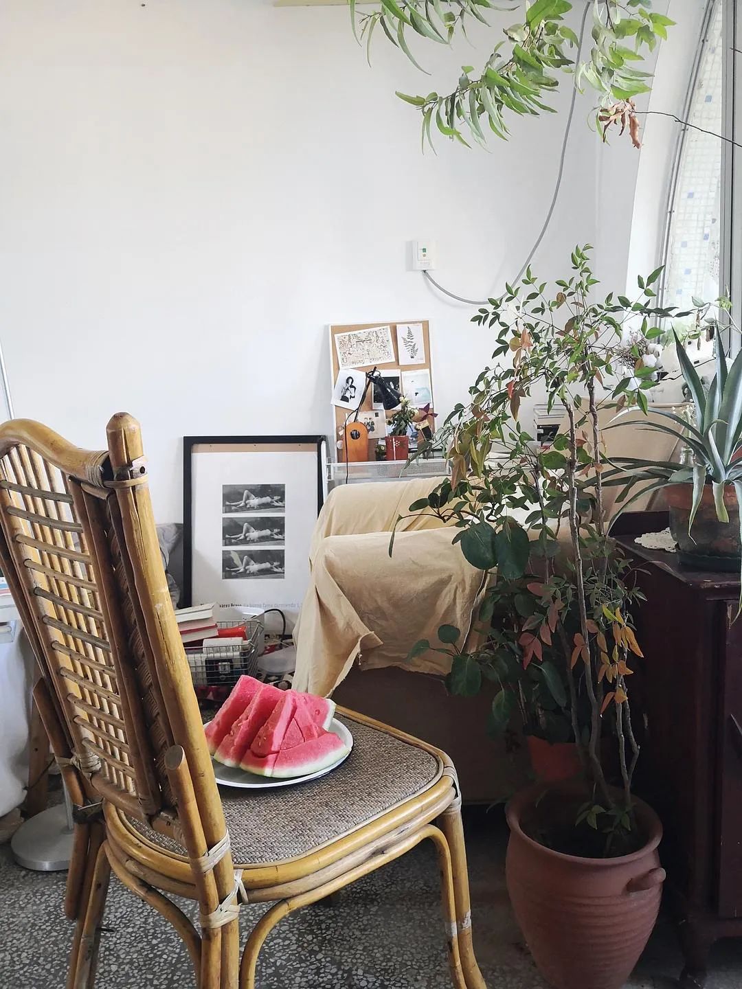 月薪过万捡垃圾,在深圳捡废品月入上万