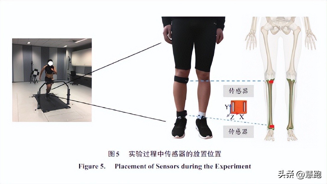 研究发现跑步比走路更快,最新科学研究跑步能延长寿命