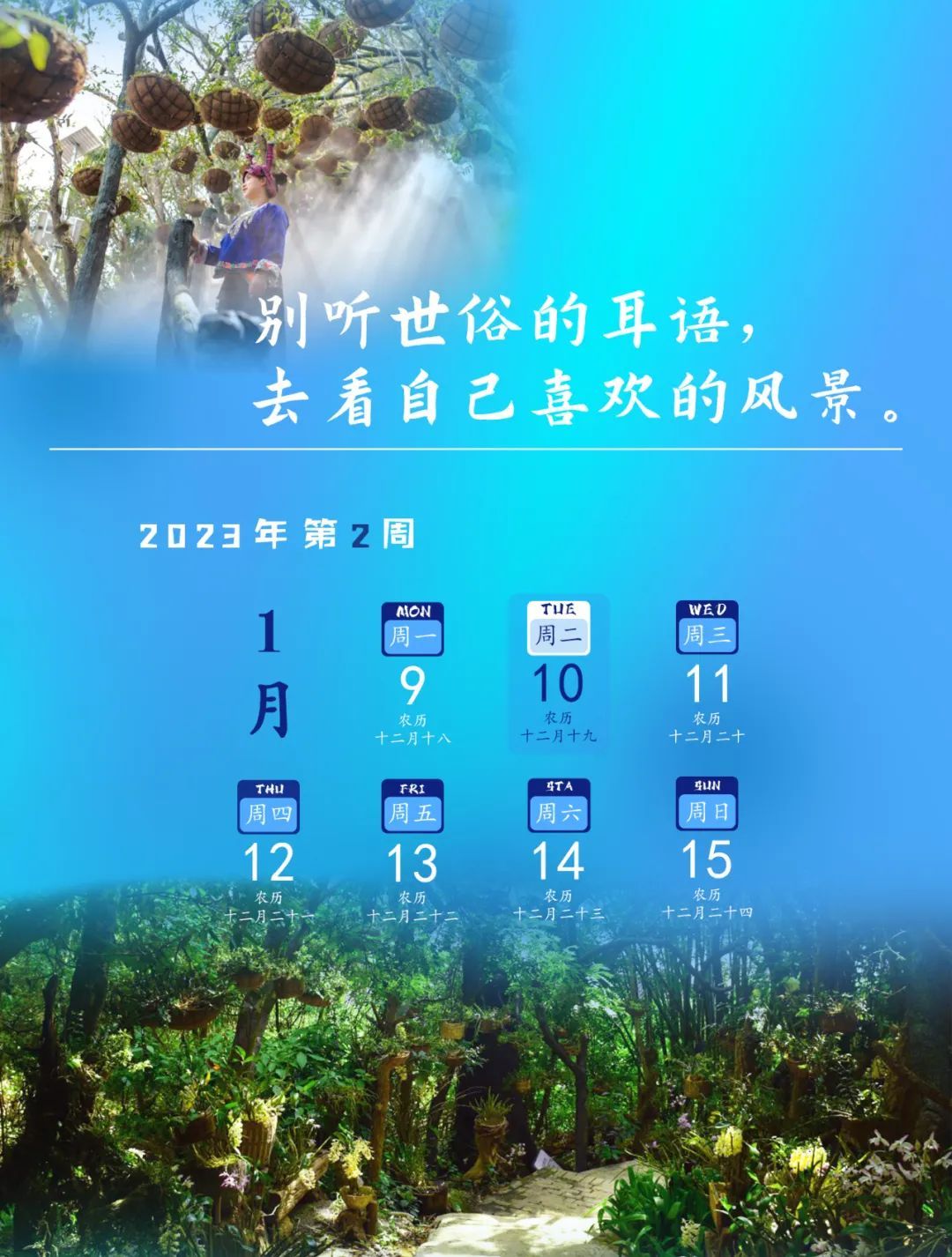 六郎城仙草秘境门票有几个景区,六郎城仙草秘境门票多少钱一个人