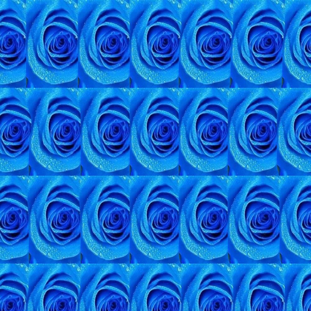 新手怎么看三维立体图,新手看三维立体图的方法