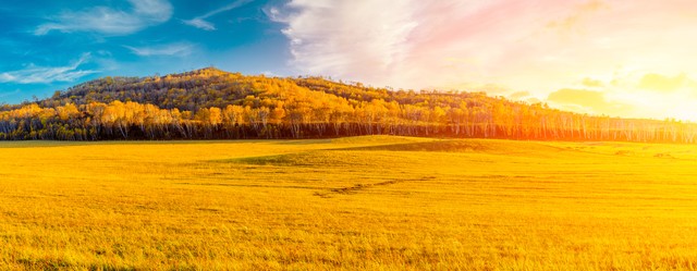 中国u20男足沙特进球,u20中国队木塔力普