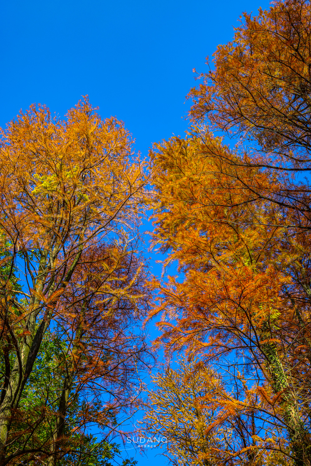 大自然塑造了我,大自然塑造者