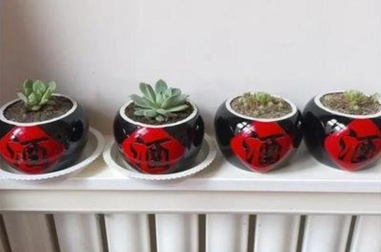 70岁大爷捡破酒瓶种花,70大爷捡酒瓶种花