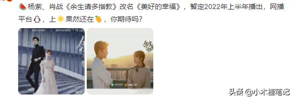 曝《余生》改名为《美好的幸福》，被嘲土味十足，网友并不看好