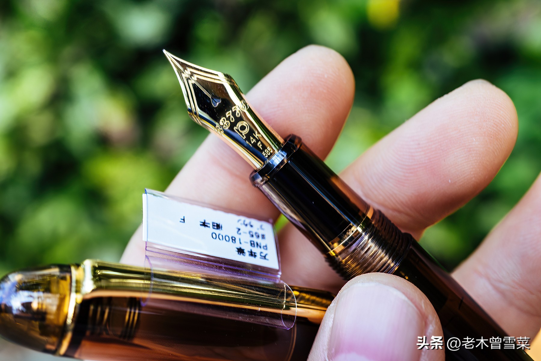 100元能买到什么样的钢笔,100元可以买到什么样的金尖钢笔