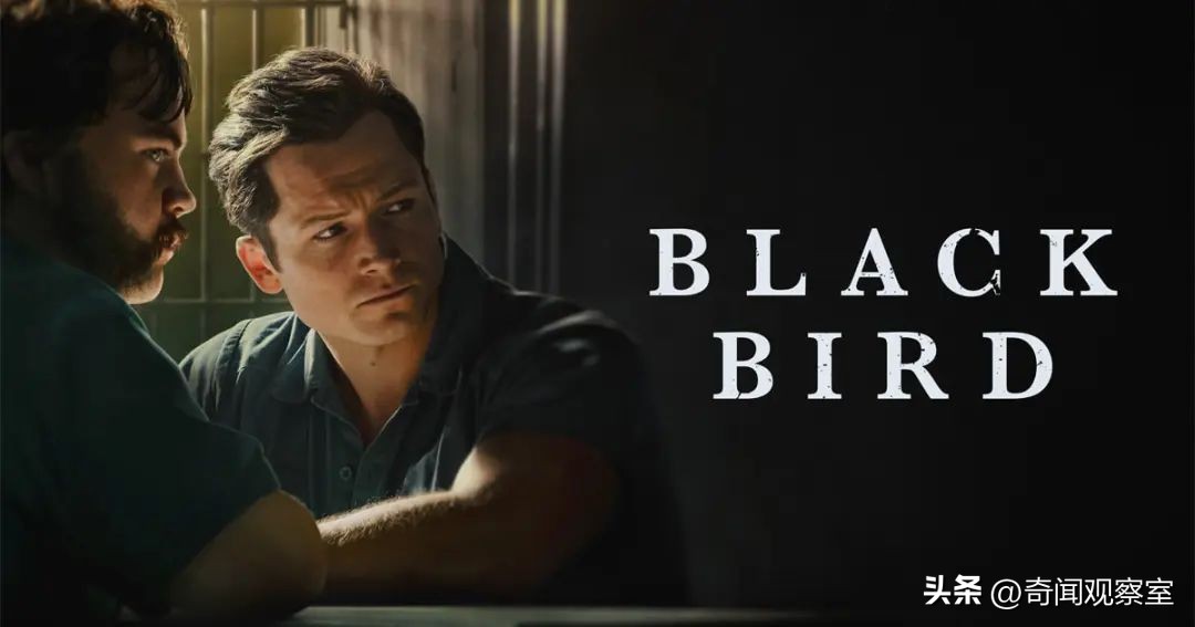 *底卧**与杀手的惊险对碰，热播美剧《BlackBird》背后的真实故事