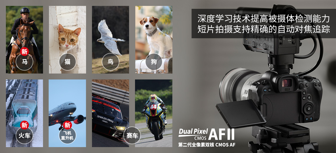 佳能R6MarkII来了，6K60P外录支持，16499元与对手拉开差距