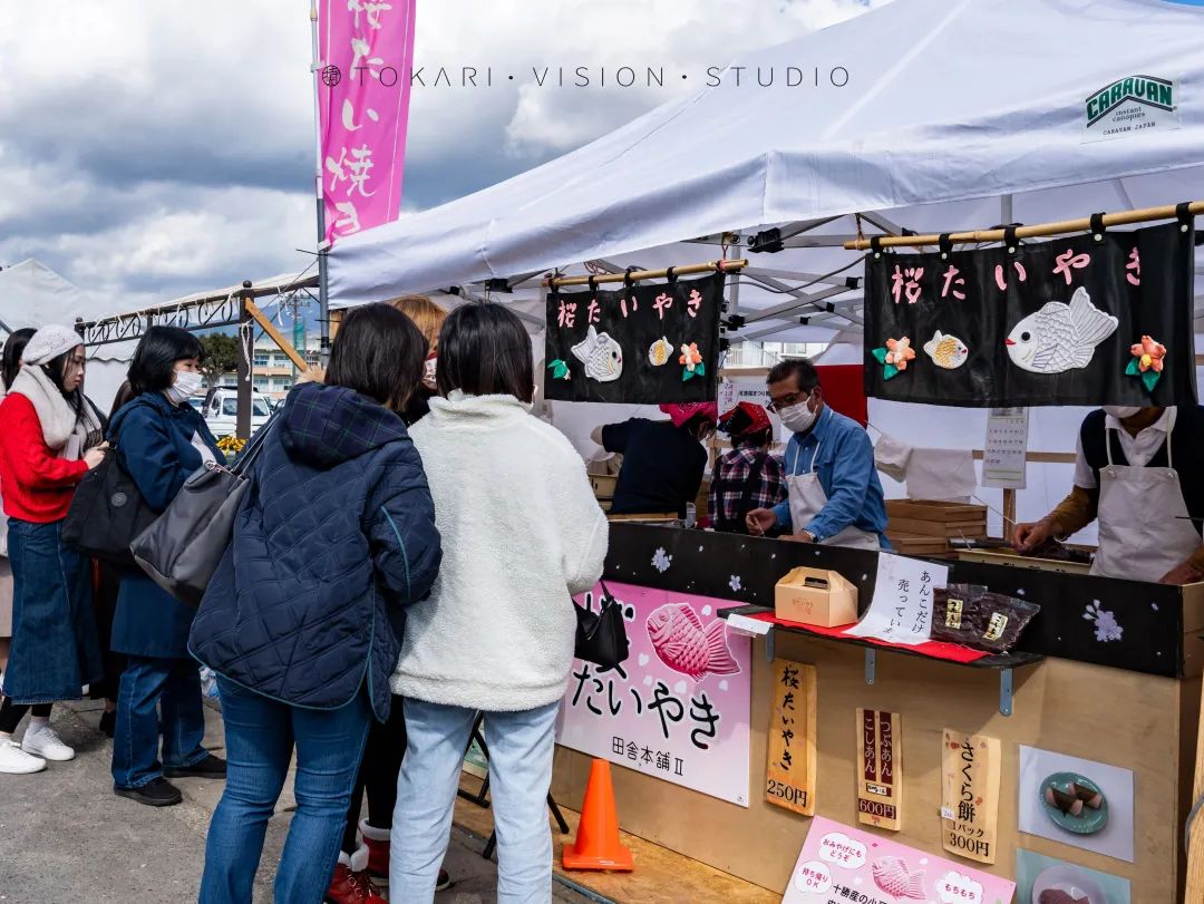 来日本赏河津樱,东京去河津赏樱攻略视频