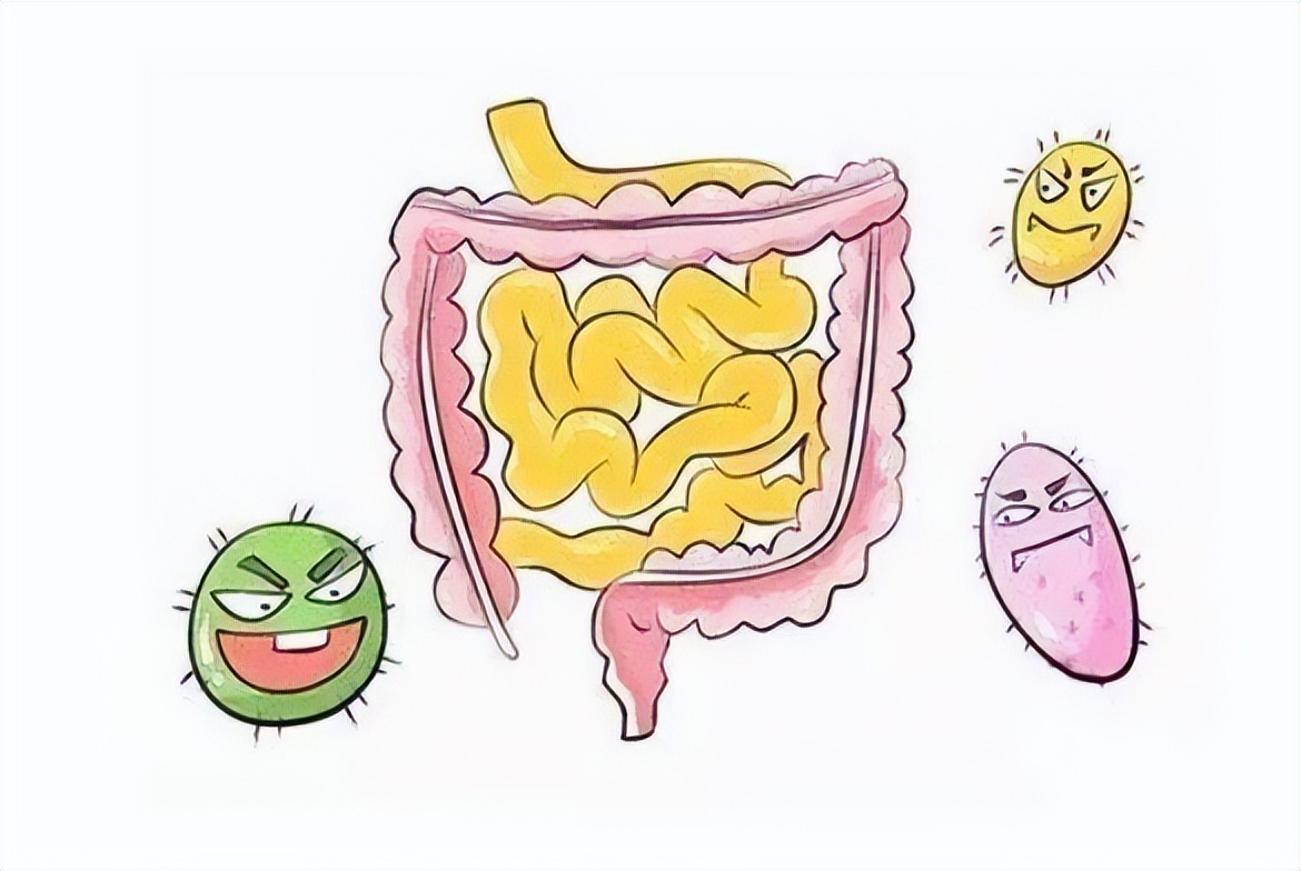 为什么大便头干硬后边软粘,大便前头干硬后边软粘的中成药