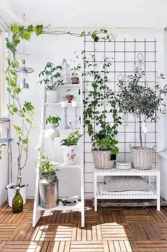 露天小阳台打造小花园效果图,卧室开放式小阳台怎么打造花园