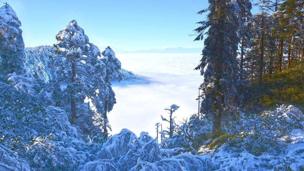 不到3000玩7天！“全网呼声最高”的冬日游天花板，非它莫属！