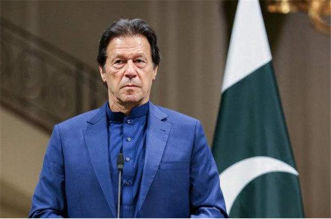 巴基斯坦购买俄罗斯小麦,俄罗斯小麦出口巴基斯坦