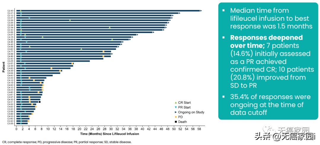 用免疫细胞杀灭癌症！TILs疗法打破实体瘤治疗瓶颈，有望年底上市