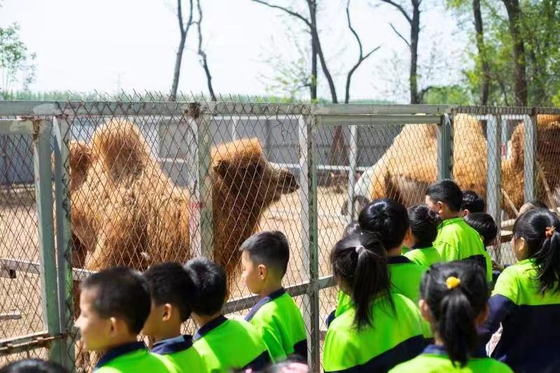 郑州市五一旅行,五一郑州游