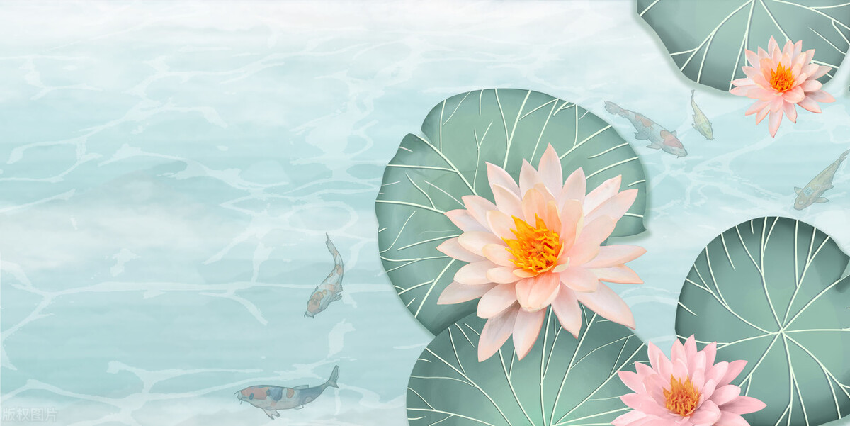 籍贯究竟应该怎么填,籍贯和贯籍的区别是什么