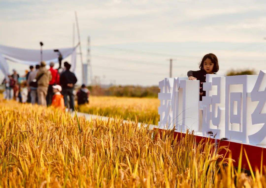 农民返乡创业成功案例,2021年农民返乡创业都做什么了