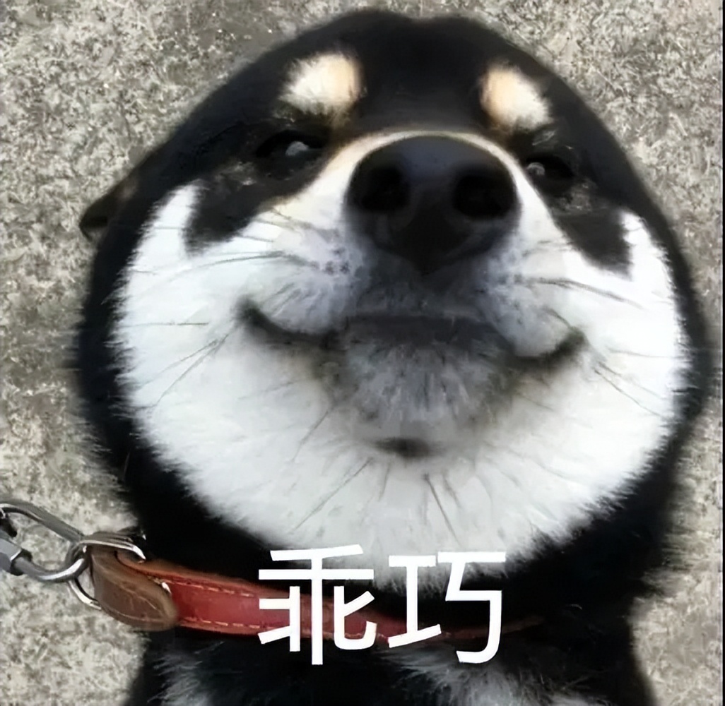 我家狗以为它是我亲生的,我家的狗以为自己是亲生的