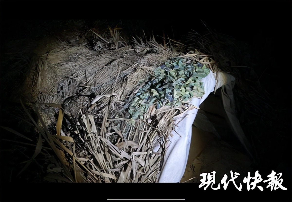 盐城海边偷猎为何屡禁不止？记者实地调查：芦苇荡里的“捞金”生意