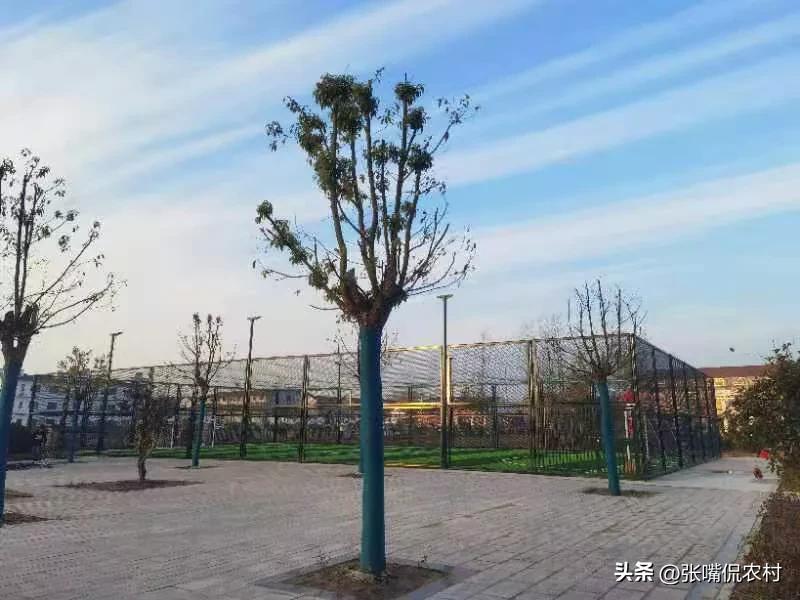 女朋友被欺负你该怎么做,女朋友被欺负男朋友正确做法