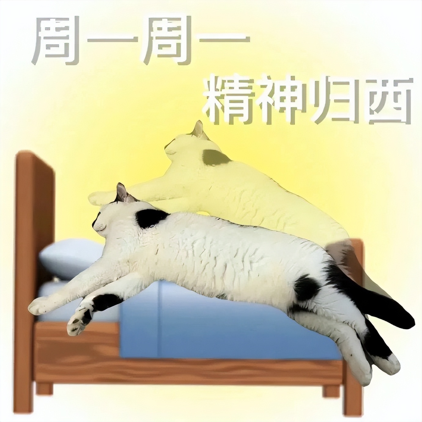 周一表情包全套,周一打起精神表情包