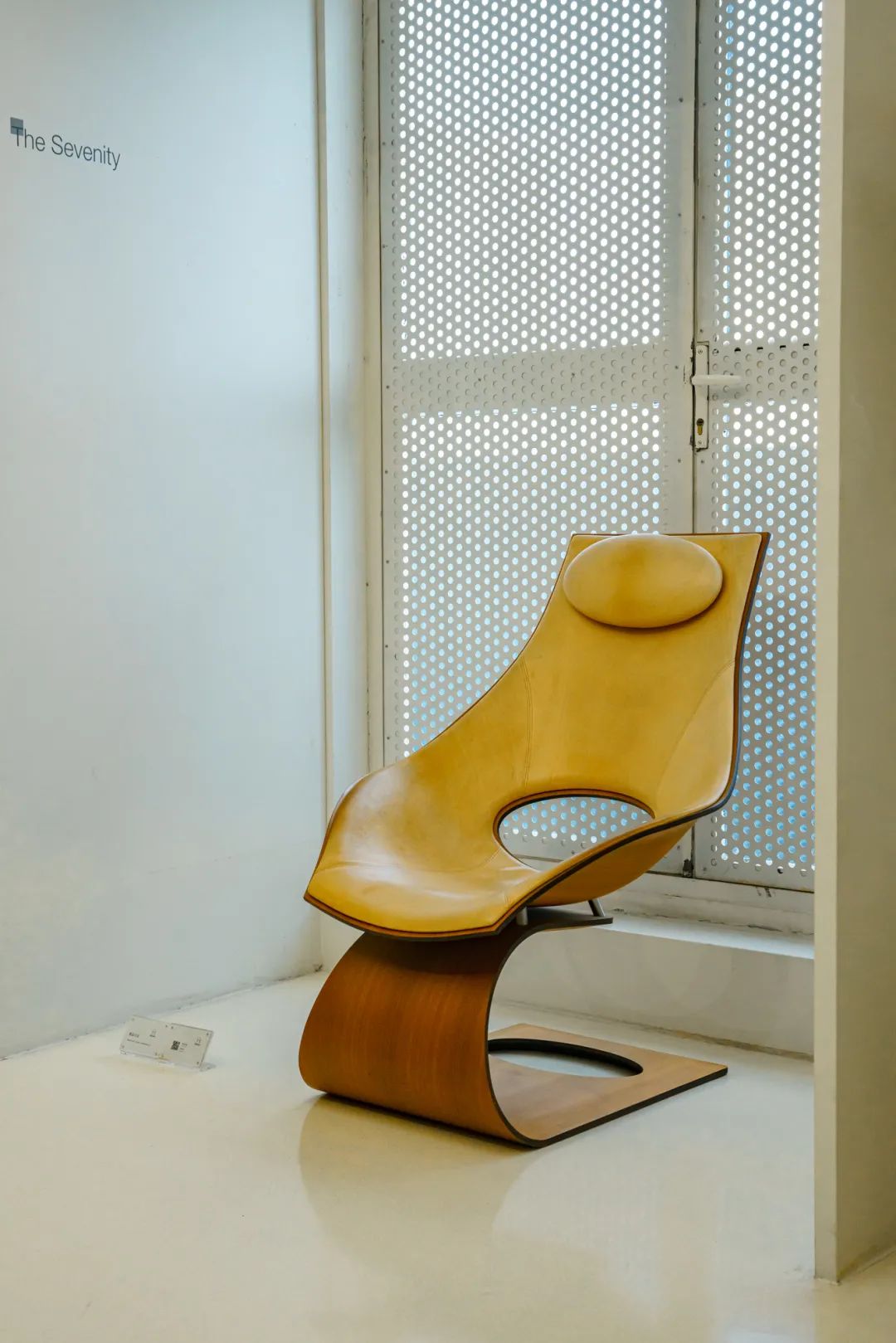 魔都自然博物馆,魔都的博物馆真的很有看头