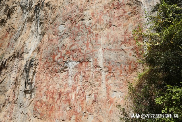 中国杨梅之乡浙江丈亭,中国杨梅之乡三洲