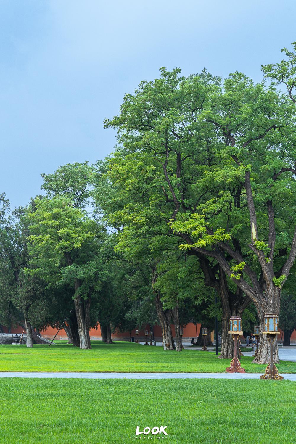 故宫600年珍宝展,600年国宝