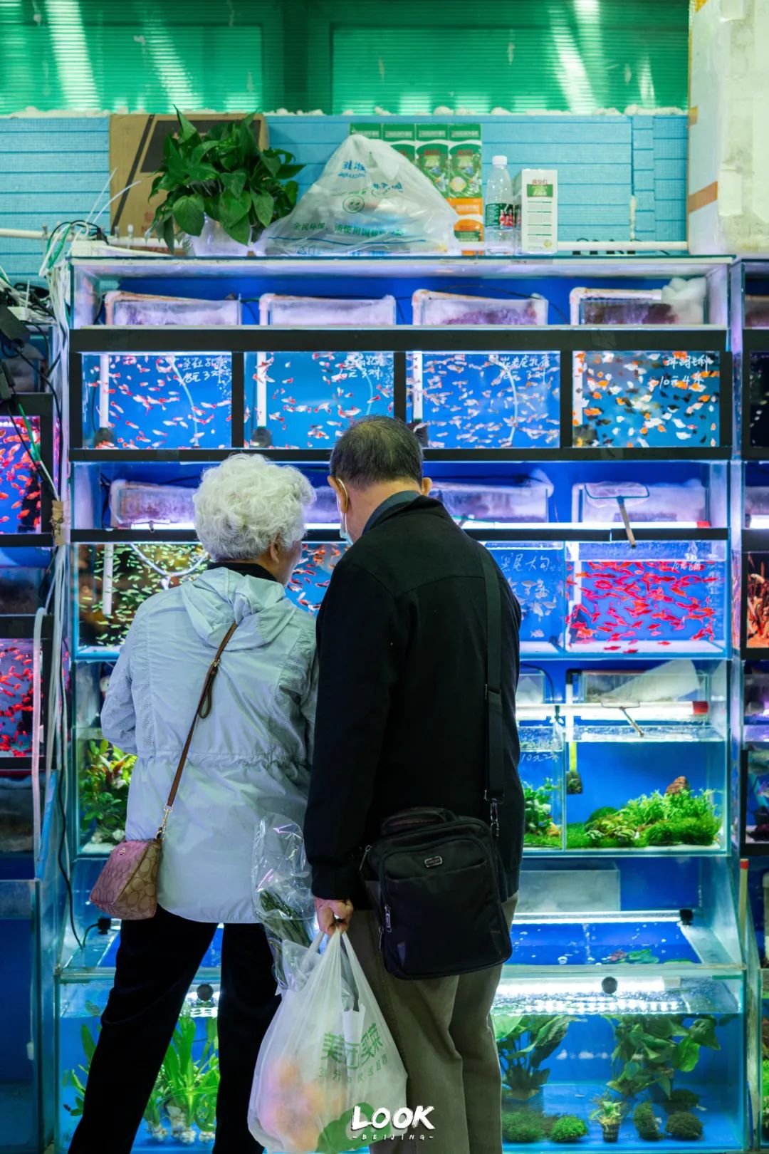 去逛逛二手市场,北京老市场有哪些