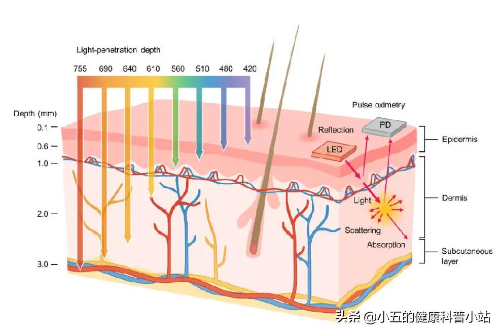 孩子被开水烫伤后涂完牙膏怎么办,儿童烫伤后怎么处理