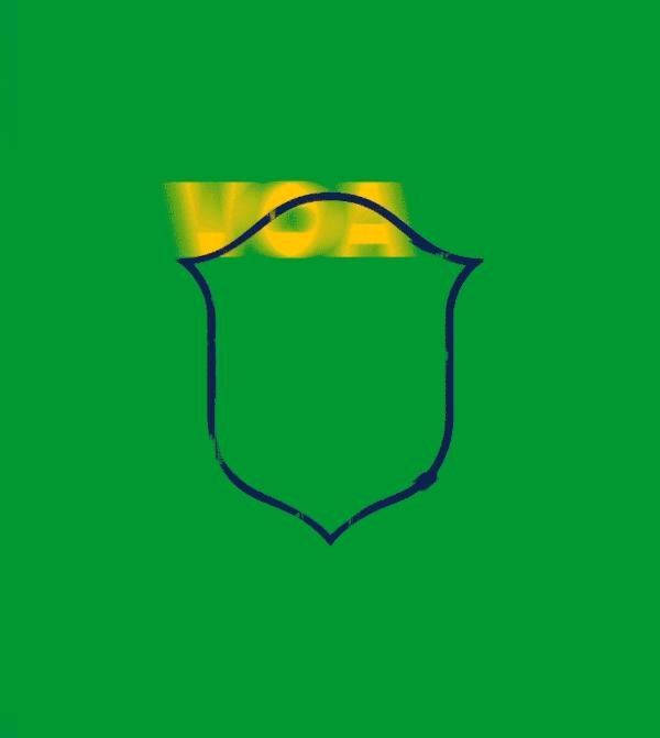 巴西世界杯队徽图片,巴西2022世界杯球衣图片