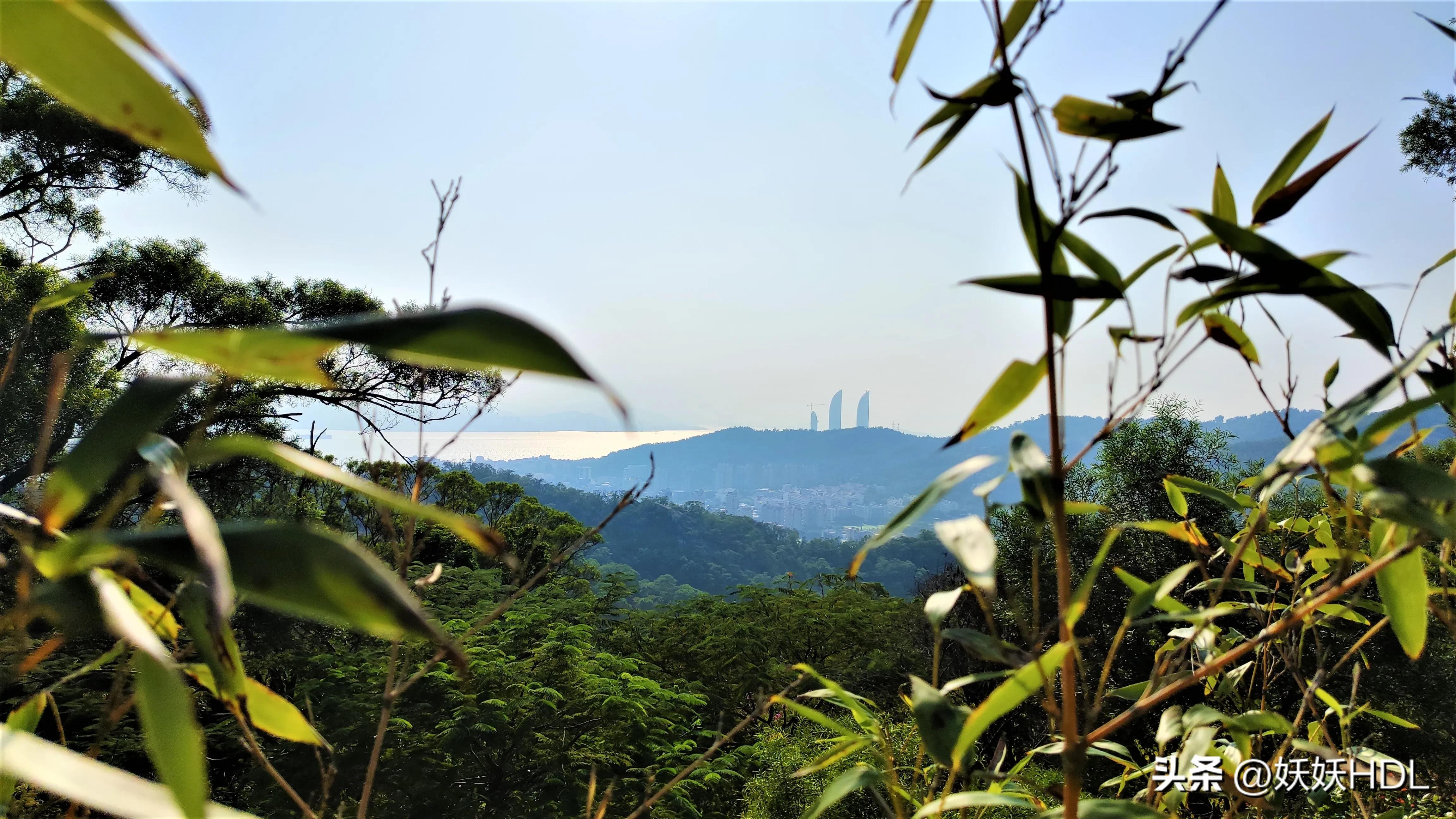 厦门山海健康步道的观音山出入口,厦门东坪山山海步道最佳路线图