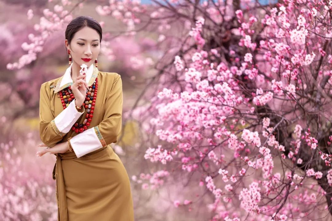 桃花仙子选拔总决赛,桃花仙子选拔大赛活动