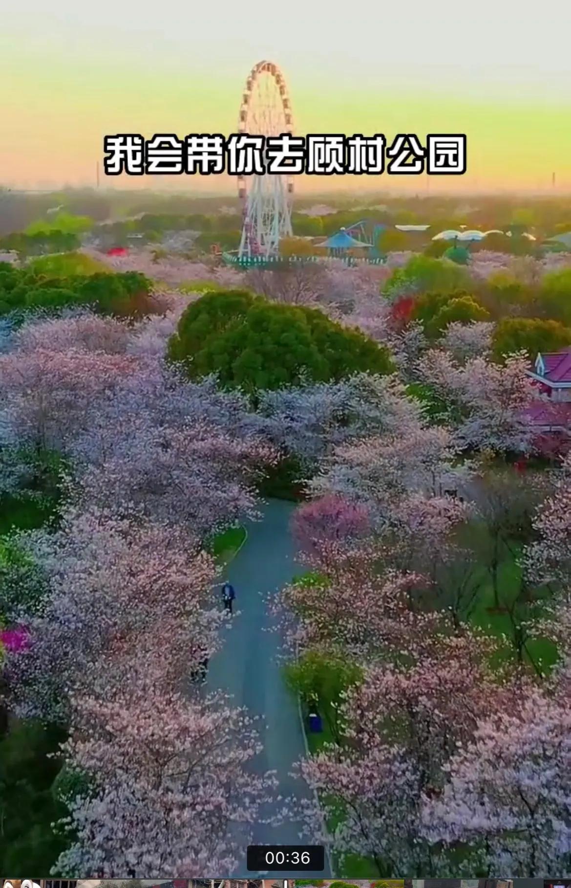 带孩子上海值得玩的景点,上海奉贤旅游景点推荐