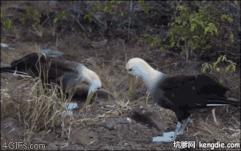 *拍偷**的夫妻生活照，羞羞的