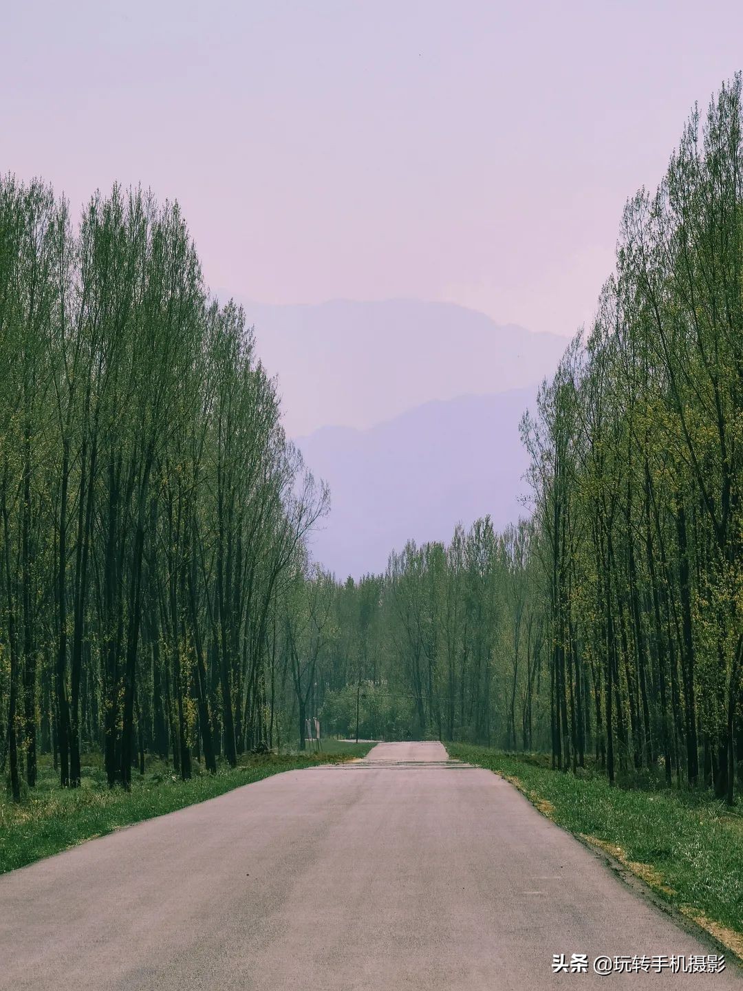 五月给你点“颜色”瞧瞧！照片想出圈，这样拍就对了