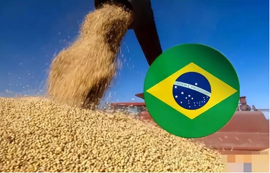 外国人真的看不出中国人年纪吗,外国人看中国过于先进