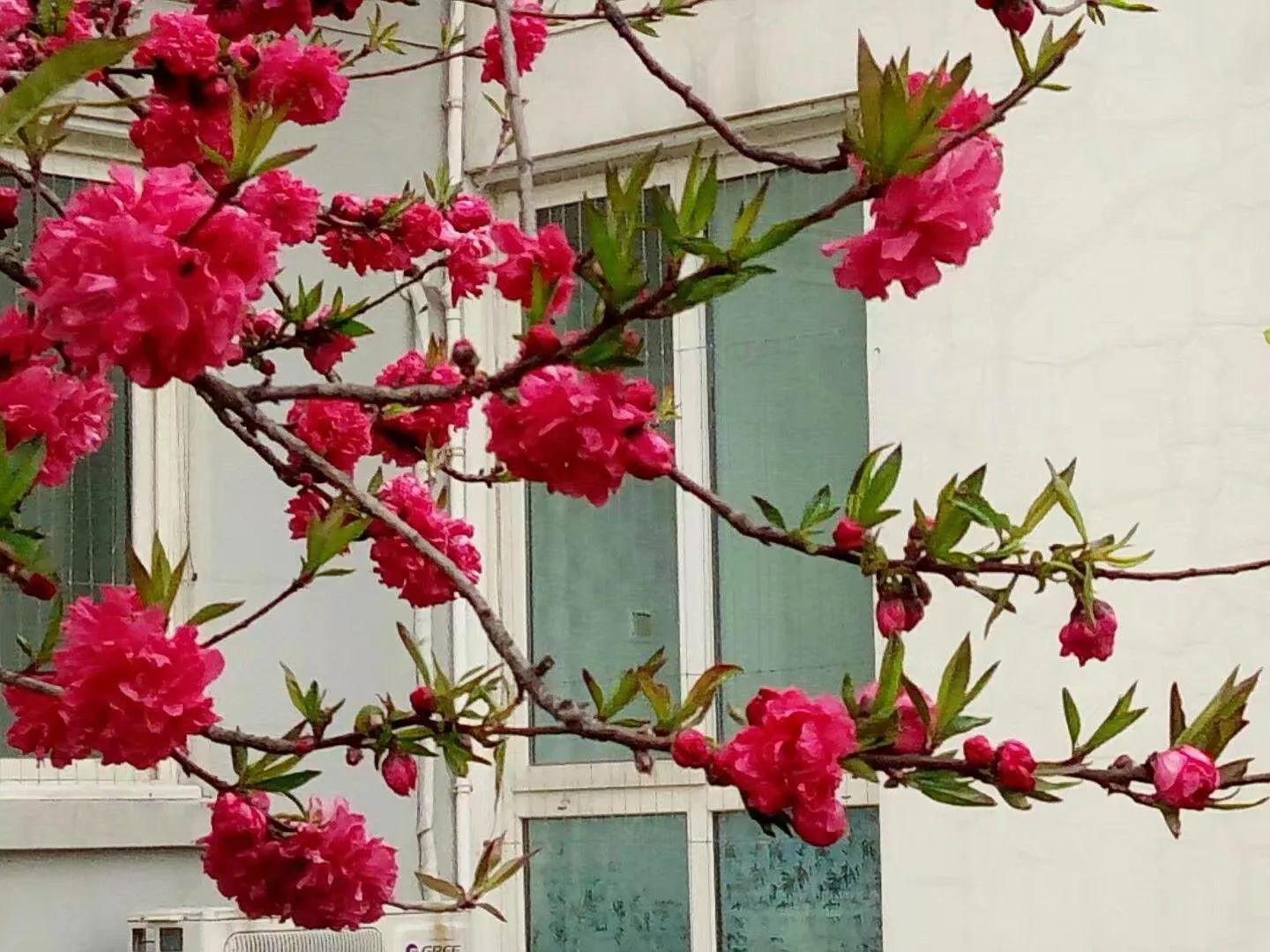 春天风景诗原创,与春天约会的诗歌原创