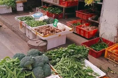 我们4年旅行花60万，没敢让儿子家知道，无意中说漏嘴被拒之门外