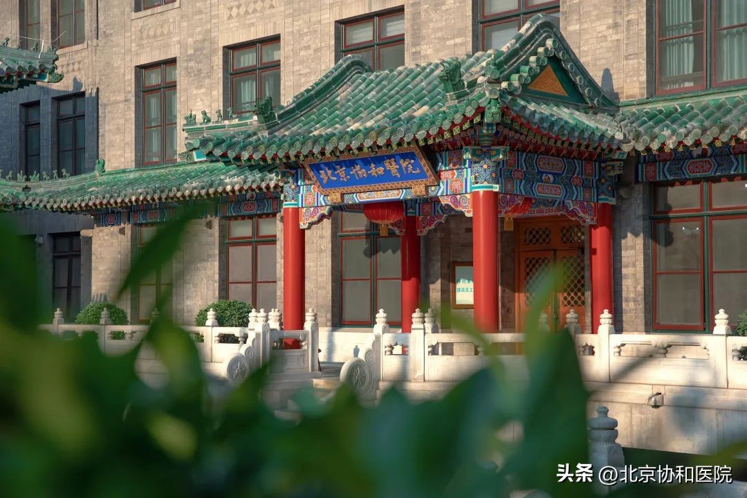 2024年护理专业招聘信息,2023年苏州市中医院护理招聘