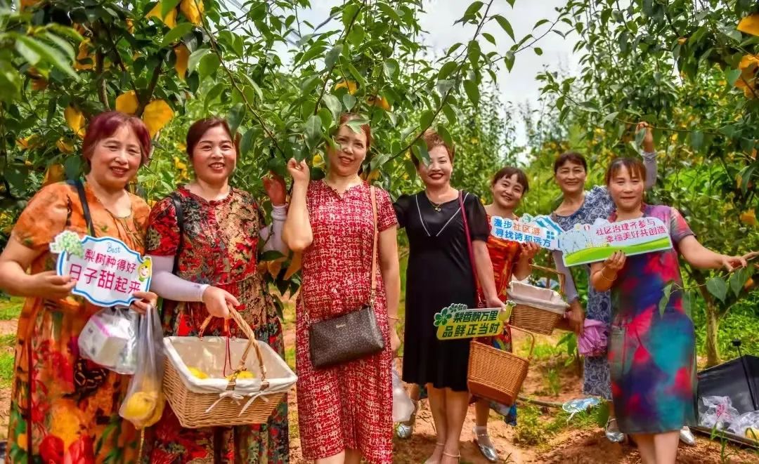 五一期间金堂附近水果采摘,欢迎光临金堂县万亩果园观光采摘