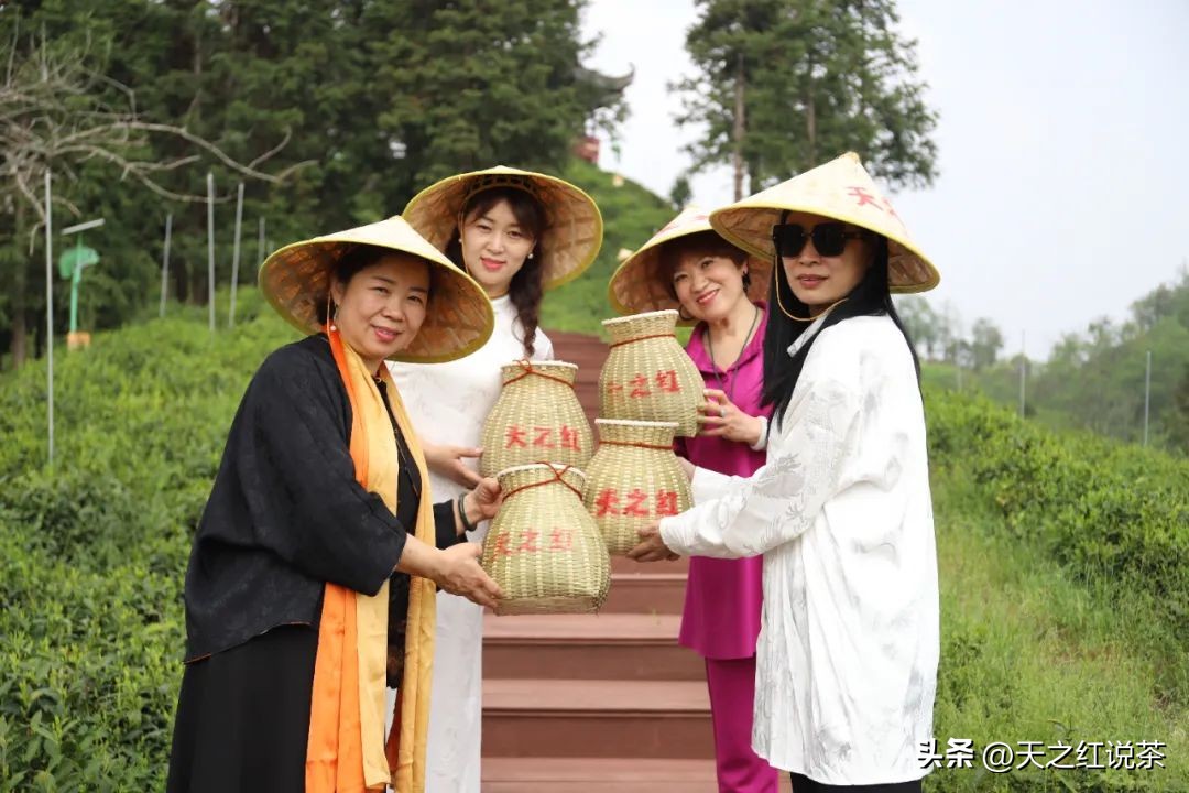 祁红最好听的十首歌,非遗祁红