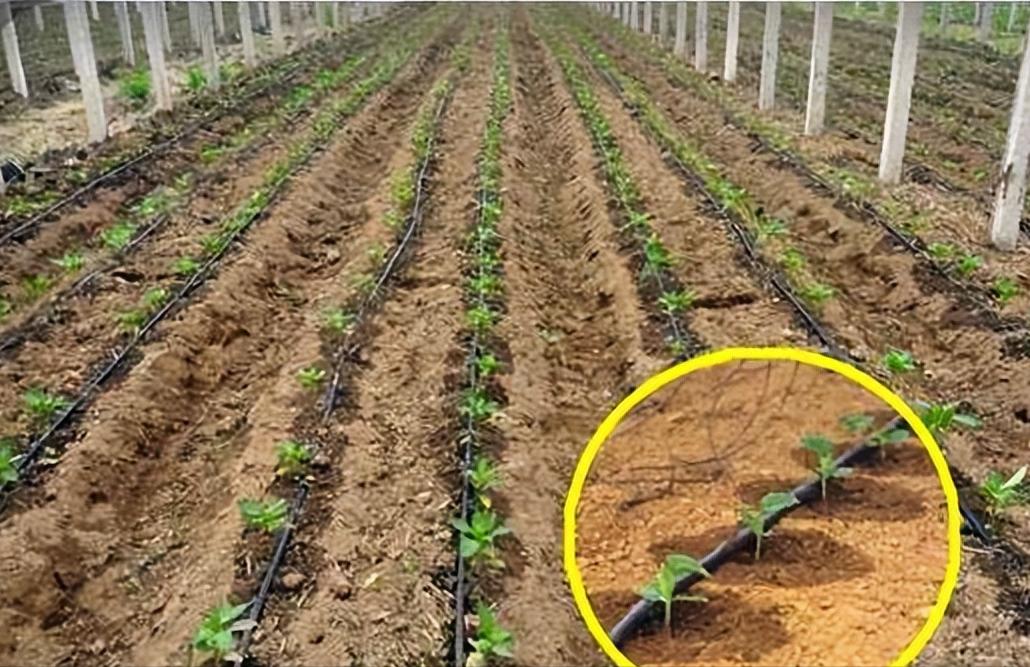 微咸水开发利用情况汇报,反渗透水处理数据分析