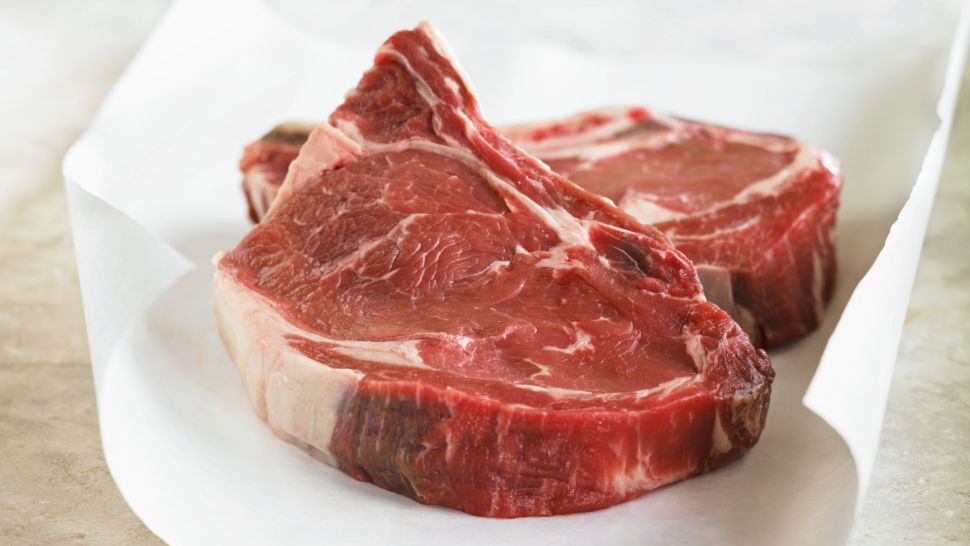 控制昆虫大脑的寄生虫,寄生虫可能控制猫的思维