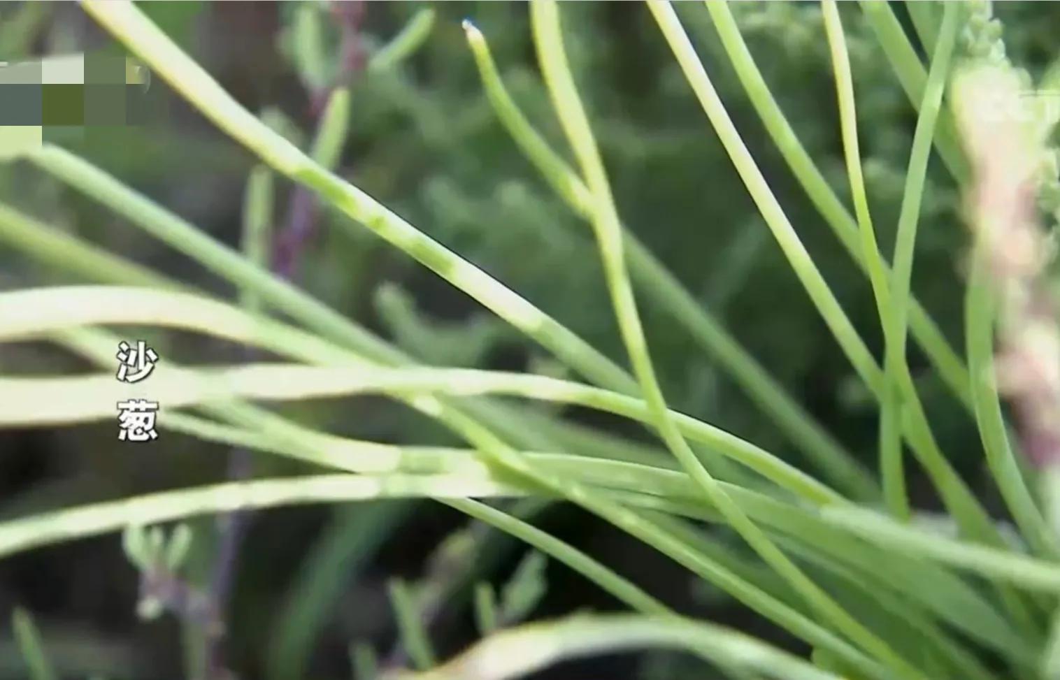 小伙承包80亩土地变成基本农田,农村小伙承包300亩地