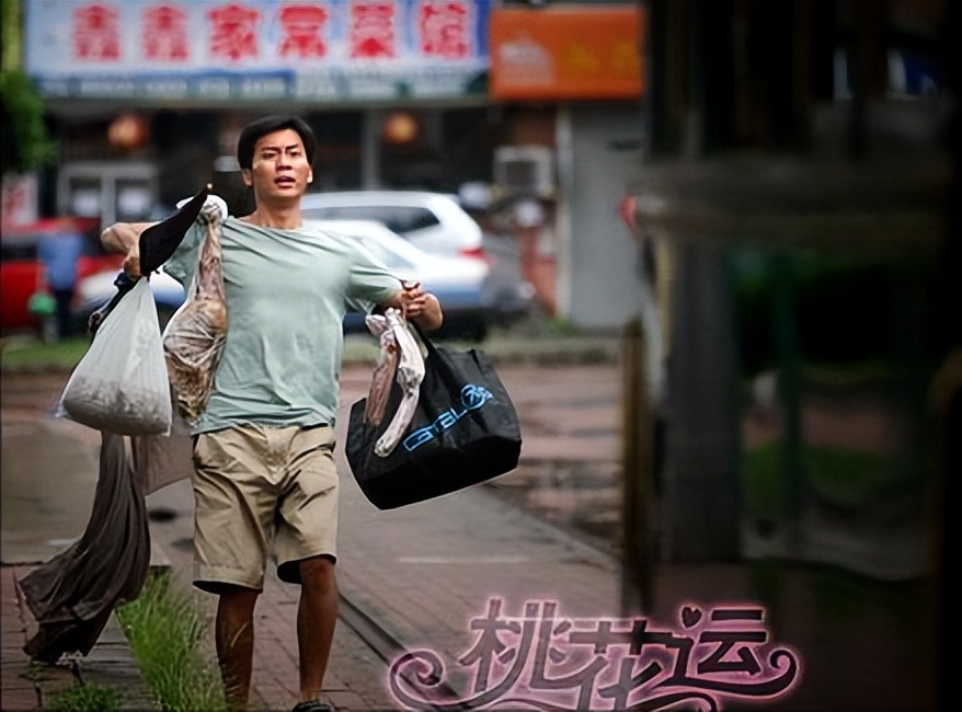 桃花运电影解析,桃花运深度解析