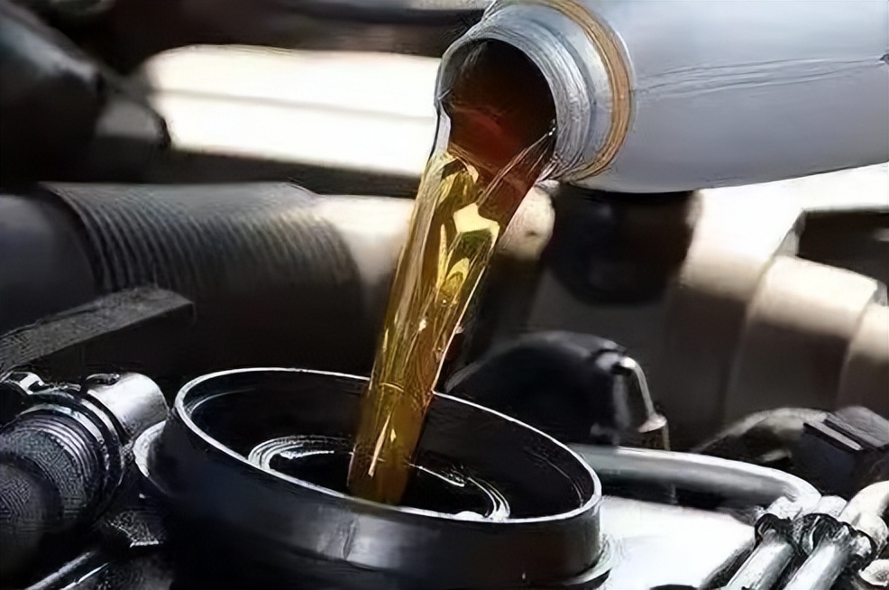 山西人花300万在日本买的锦鲤,山西老汉花300万买日本锦鲤