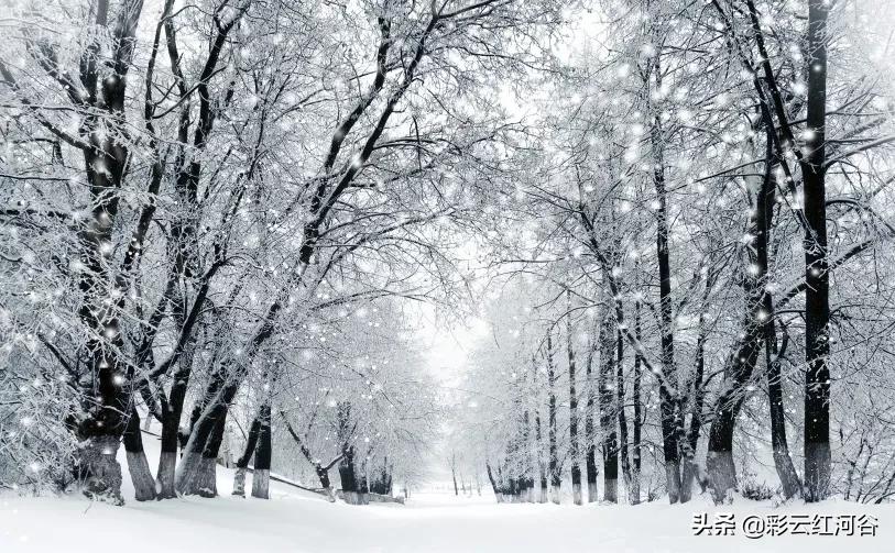 自我介绍学到什么,这份自我介绍秘籍你学到了吗