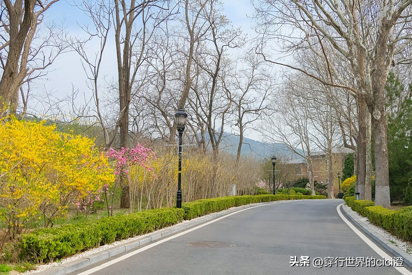 大连一日游都可以玩什么,大连一日游旅游攻略