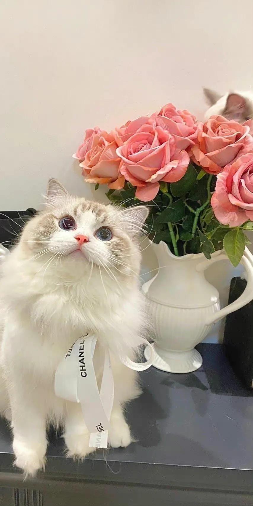 好看的网名昵称符号,超级好看的标点符号